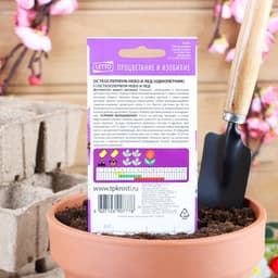 Семена цветов Остеоспермума "Небо и лед", смесь, О, 0,2г