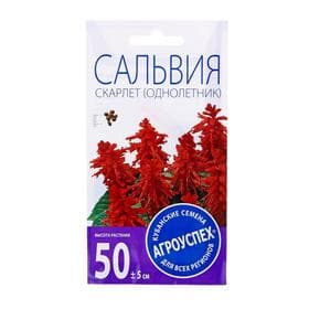 Семена цветов Сальвия «Скарлет» 0.1 г