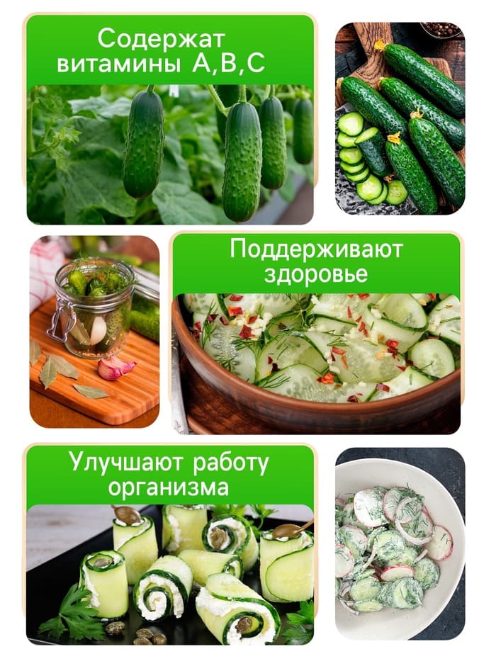 Семена Огурец Китайские змеи пчелоопыляемый плетистый ( 10 шт семян)