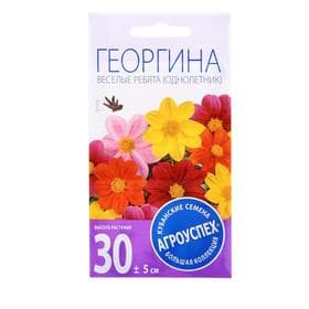 Семена цветов Георгина «Веселые ребята», 0.2 г