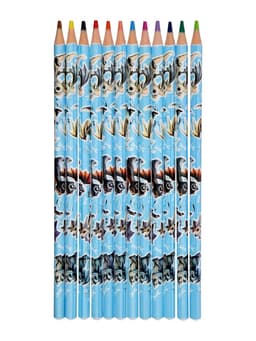 Карандаши 12 цветов ErichKrause Magic Pet, пластиковые, трехгранные, 3 мм, в ПЭТ-боксе с европодвесом