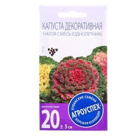 Семена цветов Капуста декоративная «Нагоя смесь» 10 шт.