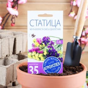 Семена цветов Статица «Мечта флориста», смесь, 0.1 г, однолетник, «Агроуспех»