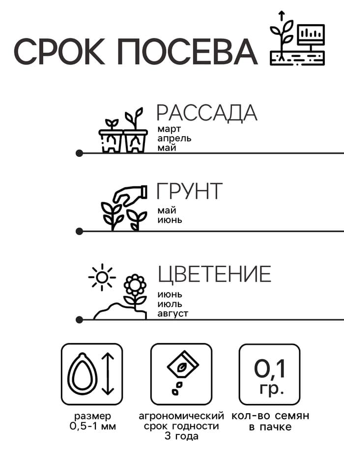 Семена цветов Незабудка "Альпийская смесь", Мн, 0,1 г