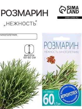 Семена Розмарин «Нежность», 0.05 г, «Агроуспех»