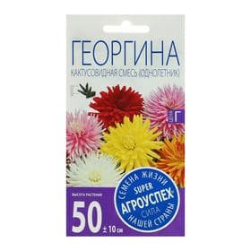 Семена цветов Георгина, кактусовидная смесь, однолетник, 0.2 г, «Агроуспех»