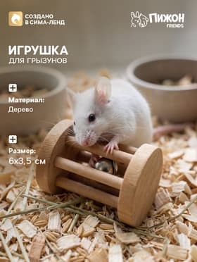 Игрушка для грызунов, погрызушка «Погремушка», 6×3.5 см