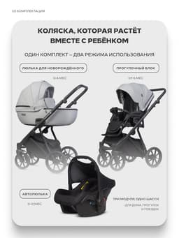 Коляска MONTANA X (3 в 1) (RIKO BASIC) 03 серый