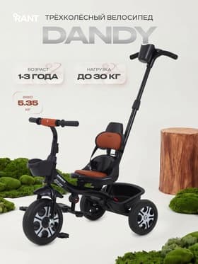 Велосипед детский трёхколёсный RANT basic RB252 DANDY, с родительской ручкой, диаметр колёс 10" и 8", чёрный