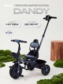 Велосипед детский трёхколёсный RANT basic RB252 DANDY, с родительской ручкой, диаметр колёс 10" и 8", синий