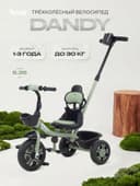 Велосипед детский трёхколёсный RANT basic RB252 DANDY, с родительской ручкой, диаметр колёс 10" и 8", зелёный