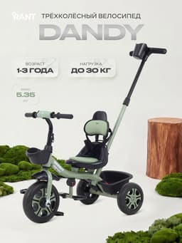 Велосипед детский трёхколёсный RANT basic RB252 DANDY, с родительской ручкой, диаметр колёс 10" и 8", зелёный