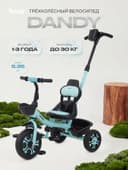Велосипед детский трёхколёсный RANT basic RB252 DANDY, с родительской ручкой, диаметр колёс 10" и 8", цвет мята