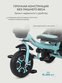 Велосипед детский трёхколёсный RANT basic RB252 DANDY, с родительской ручкой, диаметр колёс 10" и 8", цвет мята