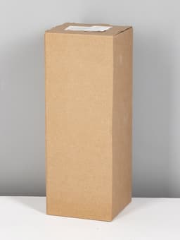 Лампа настольная RISALUX «Жизель», 1×40 Вт, Е14, 20×20×32 см