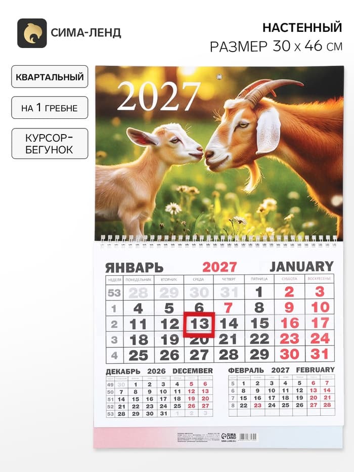 Календарь 2027, квартальный моно «Два козла» 30×46 см