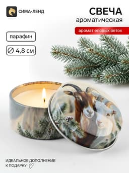 Свеча ароматическая, в железной банке «Пара», еловые ветки, d=4.8 см