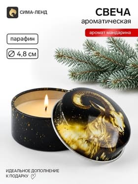 Свеча ароматическая, в железной банке «Золотой Символ года», мандарин, d=4.8 см