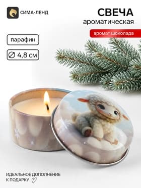 Свеча ароматическая, в железной банке «Тепла и уюта», шоколад, d=4.8 см