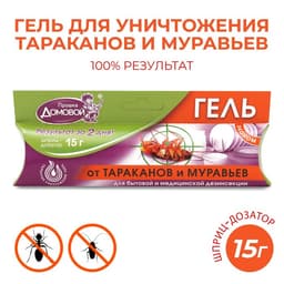 Эконом гель от тараканов «Домовой Прошка» шприц 15 г