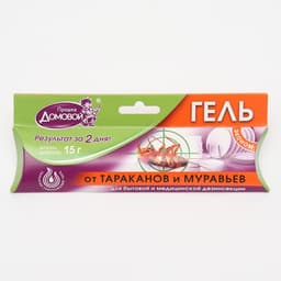 Эконом гель от тараканов «Домовой Прошка» шприц 15 г