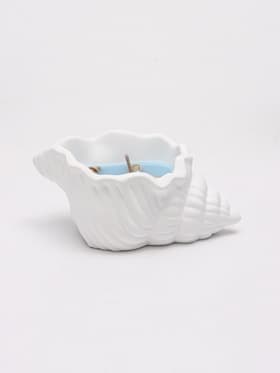 Свеча ароматическая в гипсе «Ракушка» 12×7×5 см, 50 г