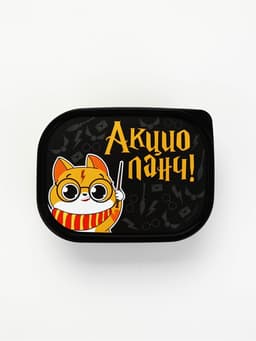 Набор «Акцио Ланч», ланч-бокс 500 мл, бутылка 450 мл