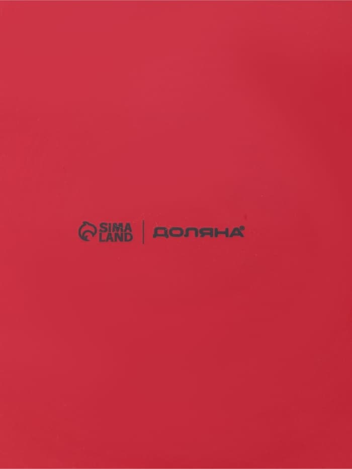 Блинница новогодняя Доляна «Зимний друг», 23.5×23.5×9.7 см, доломит, белая, красная