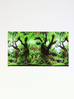 Фон для аквариума двухсторонний, 30×50 см