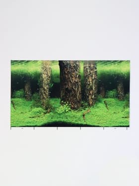 Фон для аквариума двухсторонний, 30×50 см