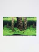 Фон для аквариума двухсторонний, 30×50 см