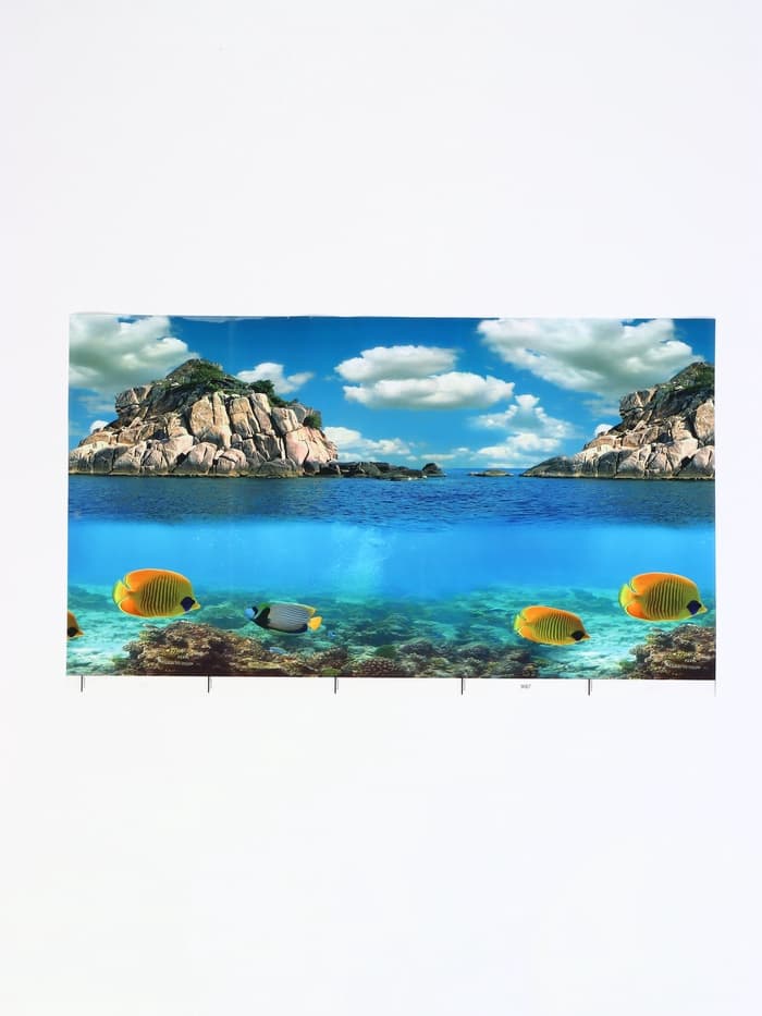 Фон для аквариума двухсторонний, 30×50 см