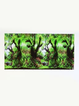Фон для аквариума двухсторонний, 40×75 см