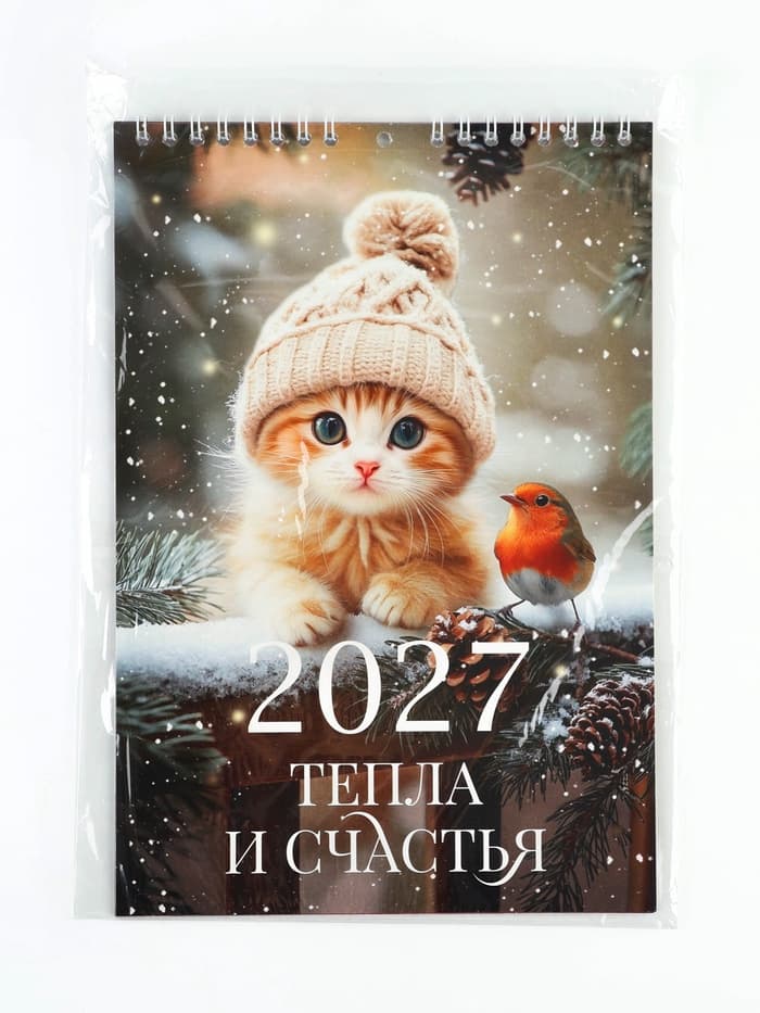 Календарь 2027 на пружине без ригеля «Котик»