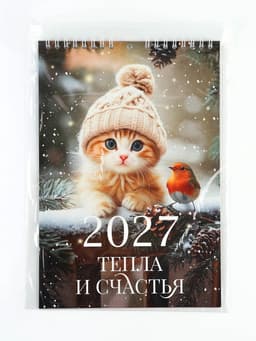 Календарь 2027 на пружине без ригеля «Котик»