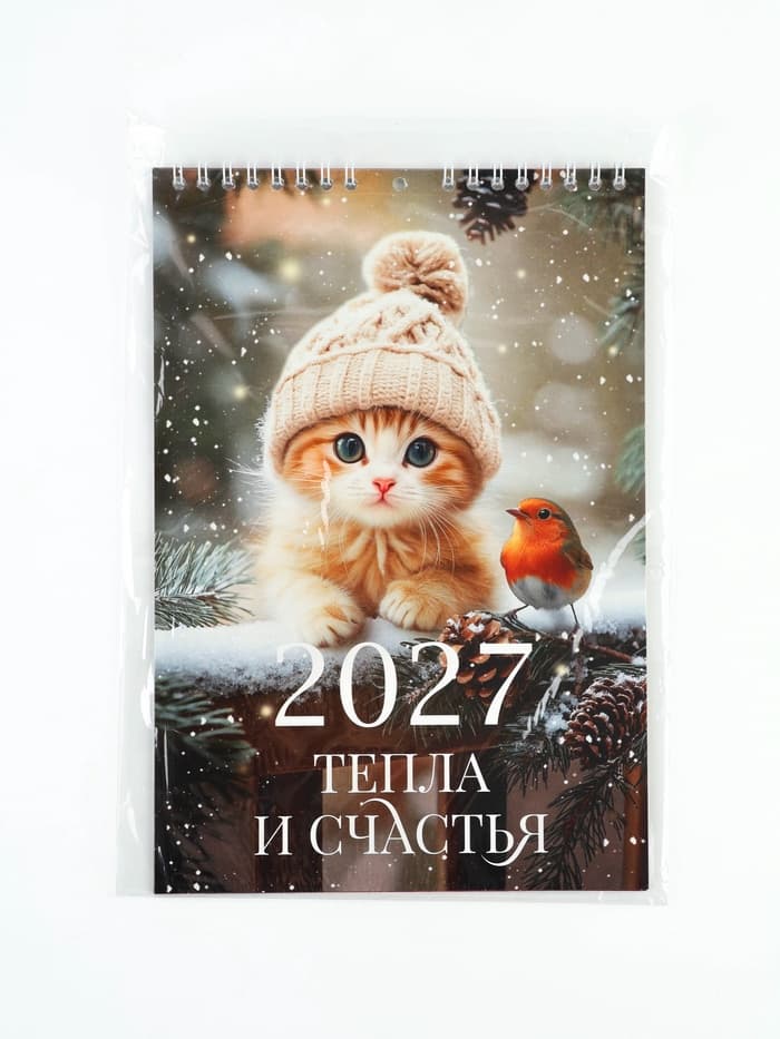 Календарь 2027 на пружине без ригеля «Котик»