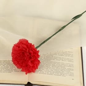 Цветы искусственные «Гвоздика красная», h=46 см, d=8 см