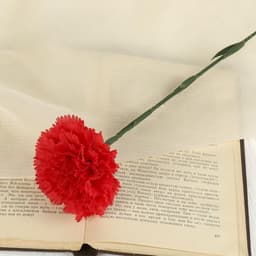 Цветы искусственные «Гвоздика красная», h=46 см, d=8 см