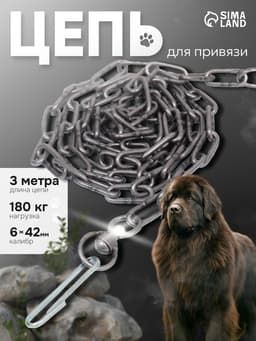 Цепь для привязи собак, 3 м, калибр 6×42 мм, черная