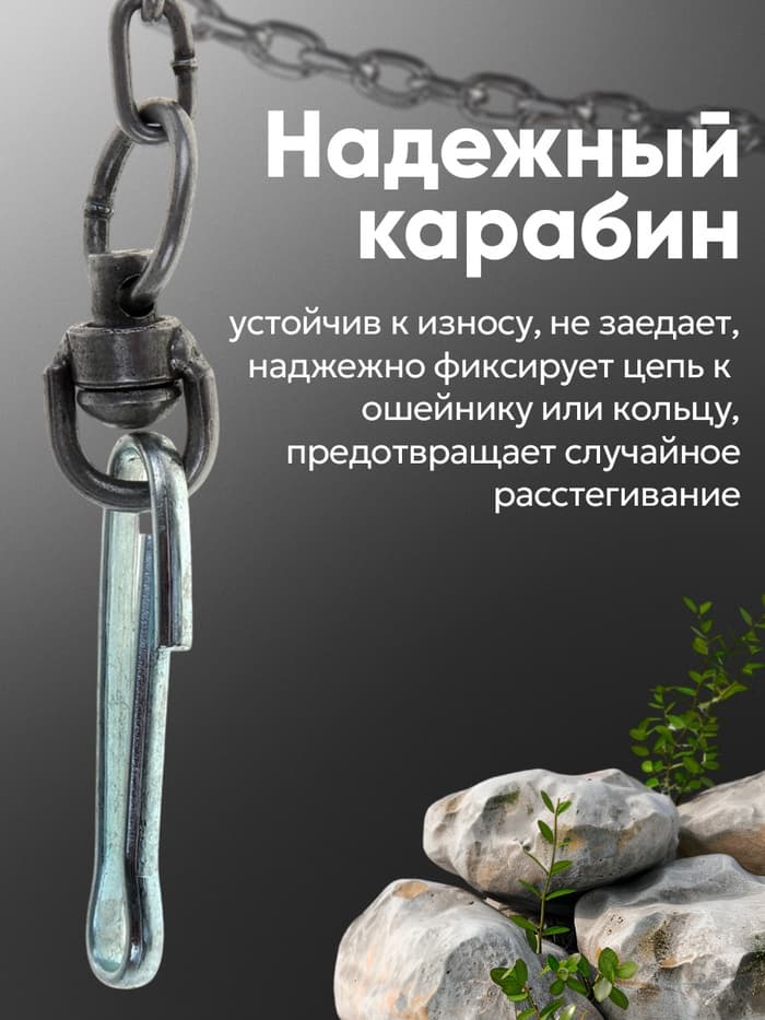 Цепь для привязи собак, 3 м, калибр 6×42 мм, черная