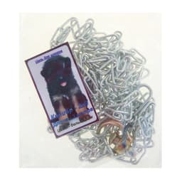 Цепь для привязи собак, 3 м, калибр 2×9 мм, белая