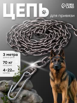 Цепь для привязи собак, 3 м, калибр 4×22 мм, черная