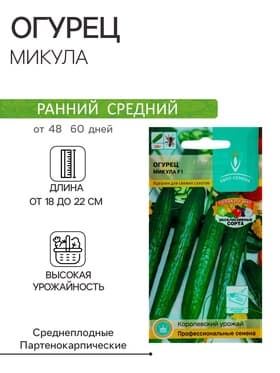 Семена Огурец Микула F1 раннеспелый, партенокарпический, гладкий, салатный 0,25 г.