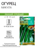 Семена Огурец Микула F1 раннеспелый, партенокарпический, гладкий, салатный 0,25 г.