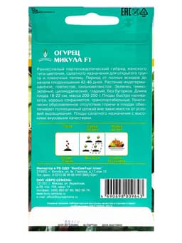 Семена Огурец Микула F1 раннеспелый, партенокарпический, гладкий, салатный 0,25 г.