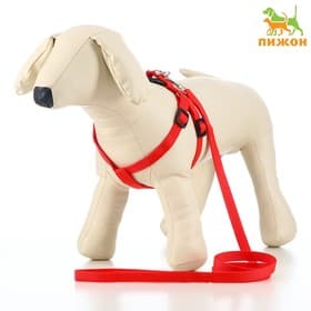 Шлейка с поводком «Базис», 32-46×1.5 см, поводок 120×1.5 см, красная