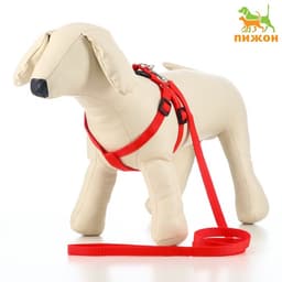 Шлейка с поводком «Базис», 32-46×1.5 см, поводок 120×1.5 см, красная