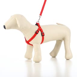 Шлейка с поводком «Базис», 32-46×1.5 см, поводок 120×1.5 см, красная