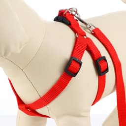 Шлейка с поводком «Базис», 32-46×1.5 см, поводок 120×1.5 см, красная
