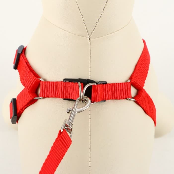 Шлейка с поводком «Базис», 32-46×1.5 см, поводок 120×1.5 см, красная